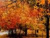 Brisa de oto&ntilde;o